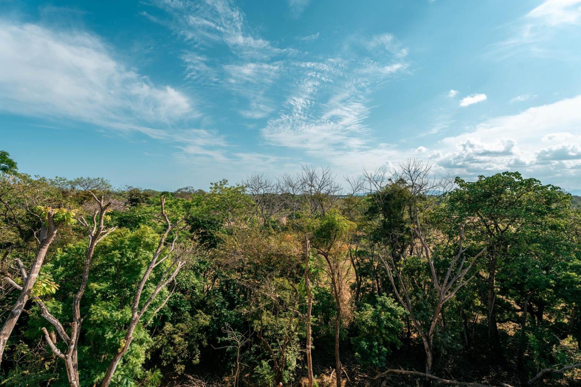 Hotel Alaya Yoga & Surf & Retreat Playa Venao Zewnętrze zdjęcie